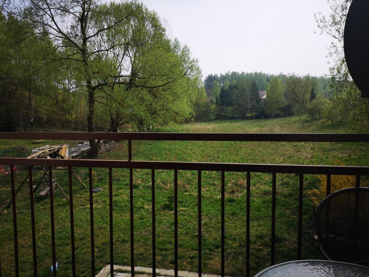 Farm stay Agroturystyka W Dolinie Narwi Lomza